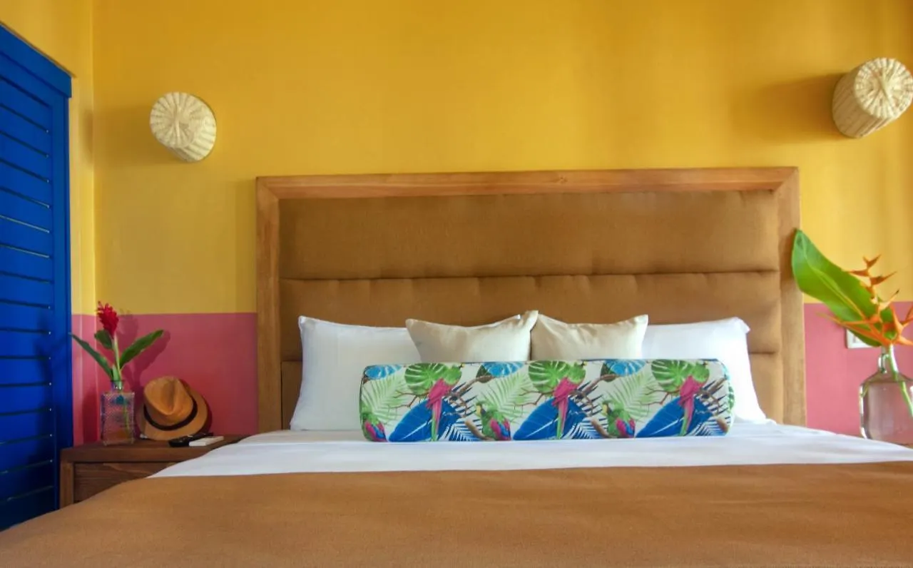 Hotel Albatros By Bedsfriends (Adults Only) Cozumel Mexiko