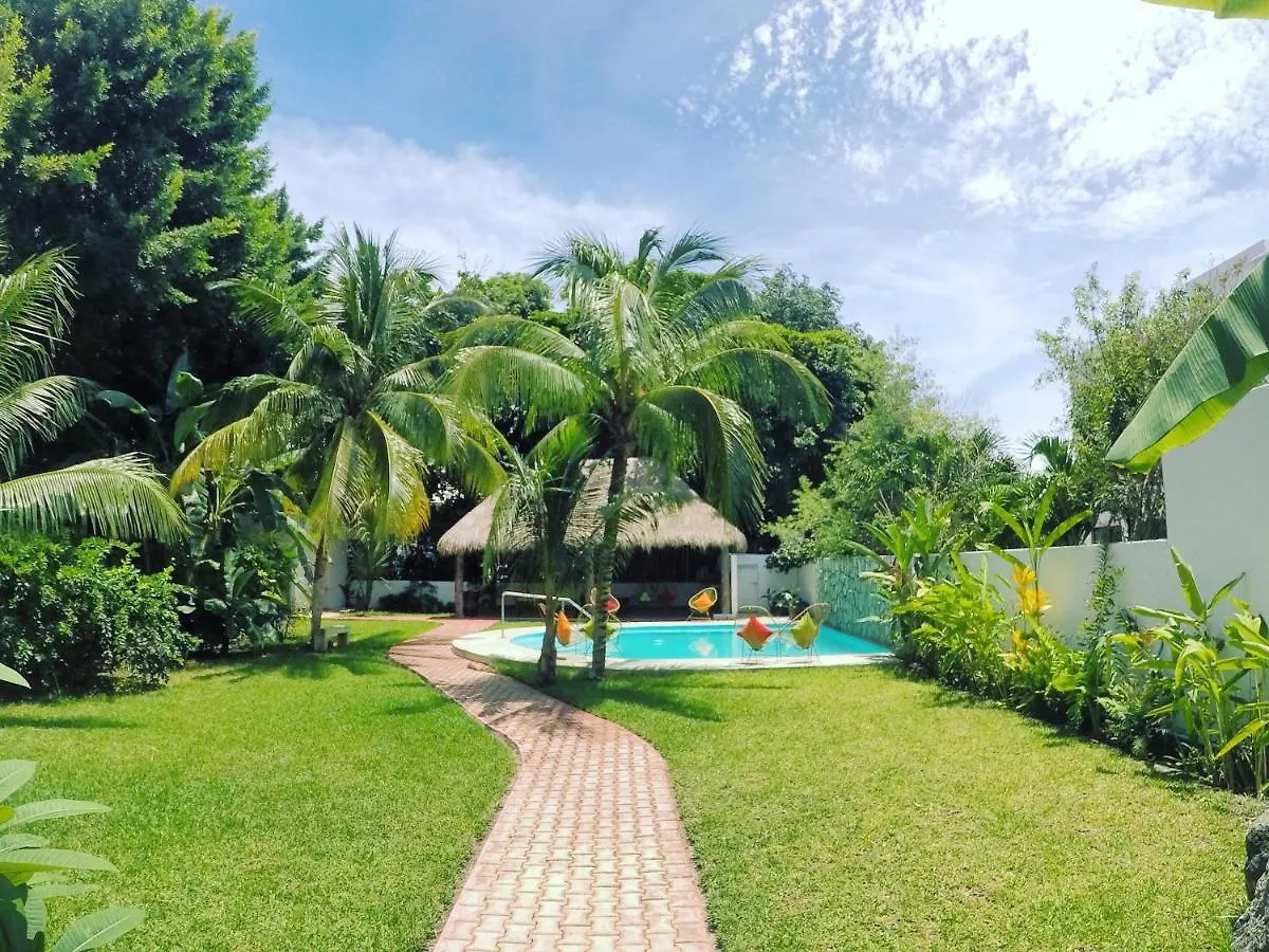 Hotel Albatros By Bedsfriends (Adults Only) Cozumel Mexiko
