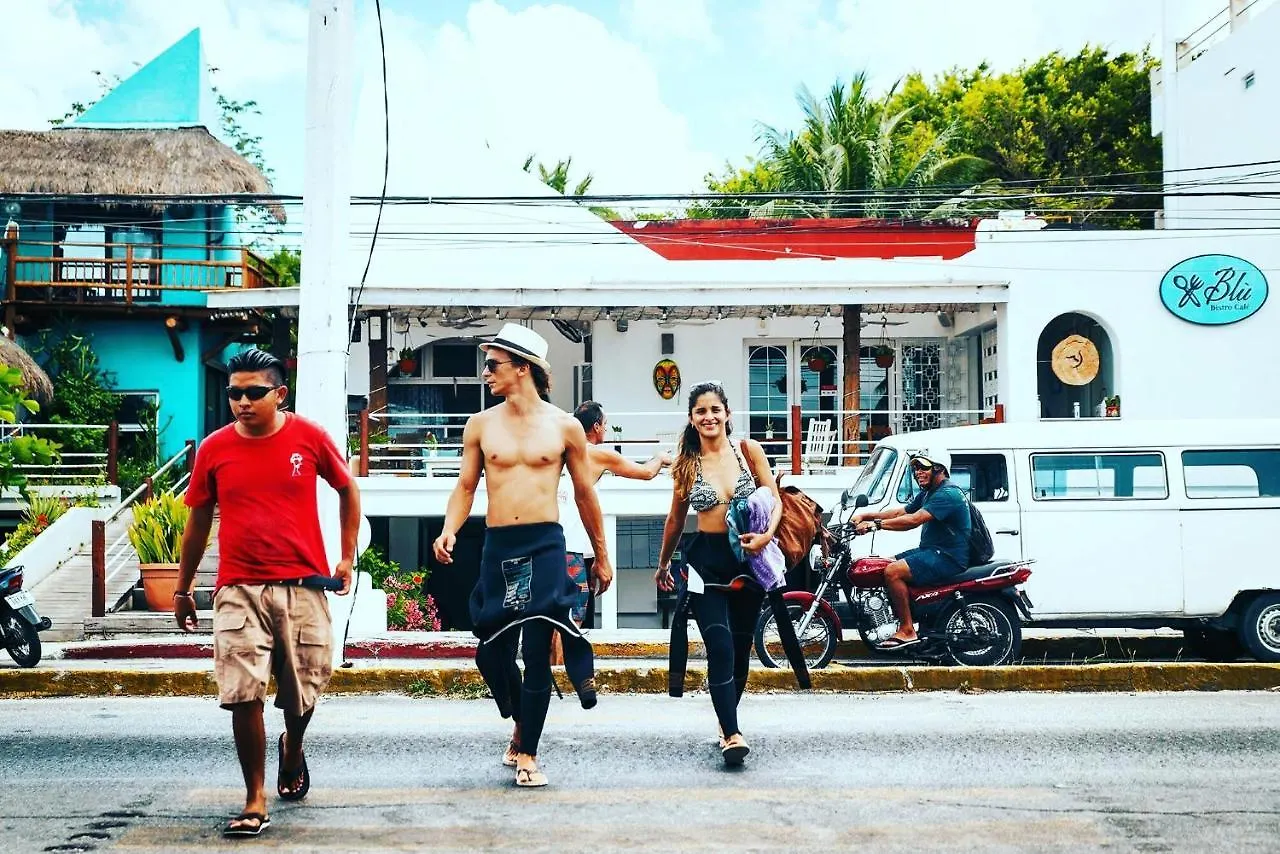 Hotel Albatros By Bedsfriends (Adults Only) Cozumel